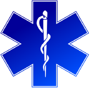 The EMS logo