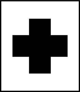 EMS icon